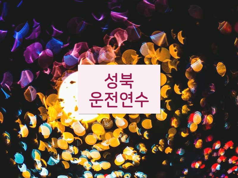 성북운전연수 후기