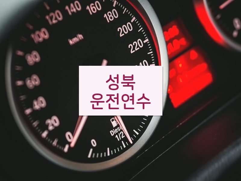 성북운전연수 후기