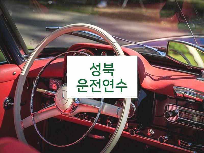 성북운전연수 후기