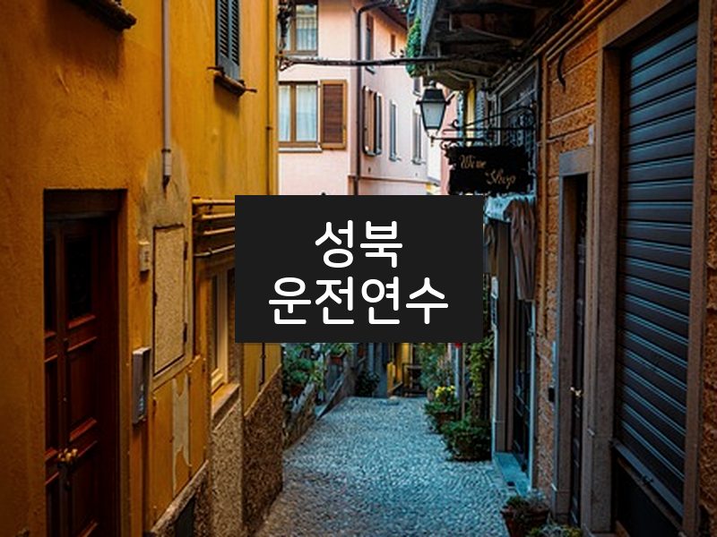 성북운전연수 후기