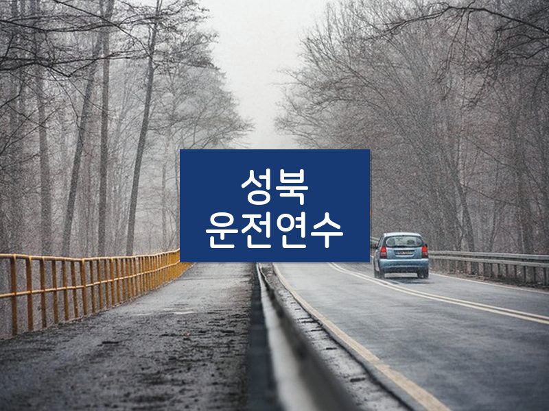 성북운전연수 후기