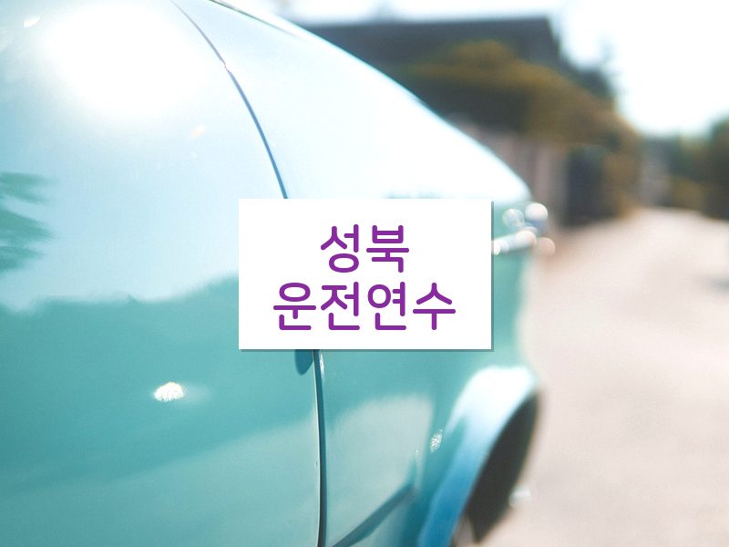 성북운전연수 후기