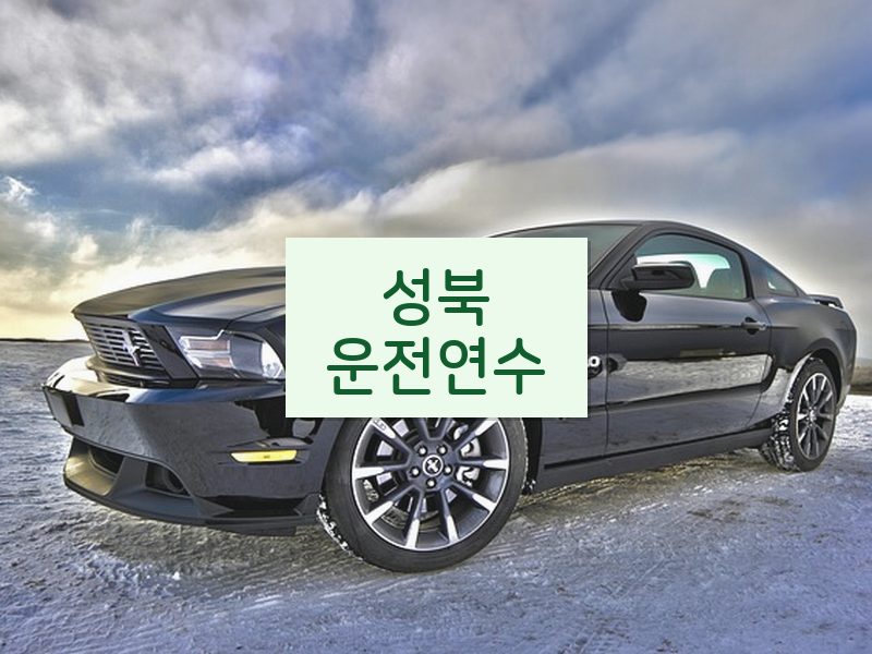 성북운전연수 후기