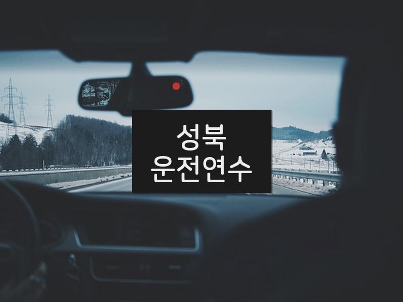 성북운전연수 후기