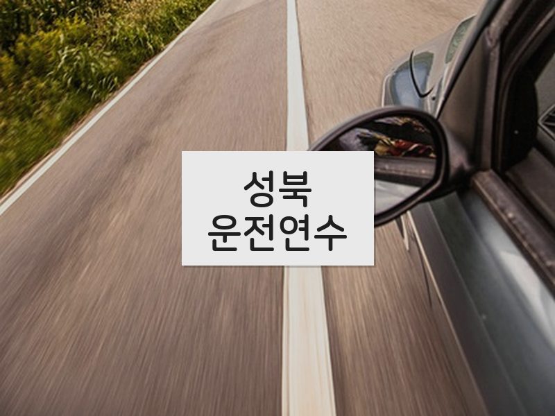 성북운전연수 후기