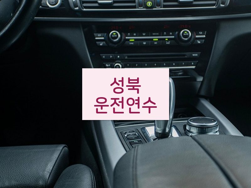 성북운전연수 후기