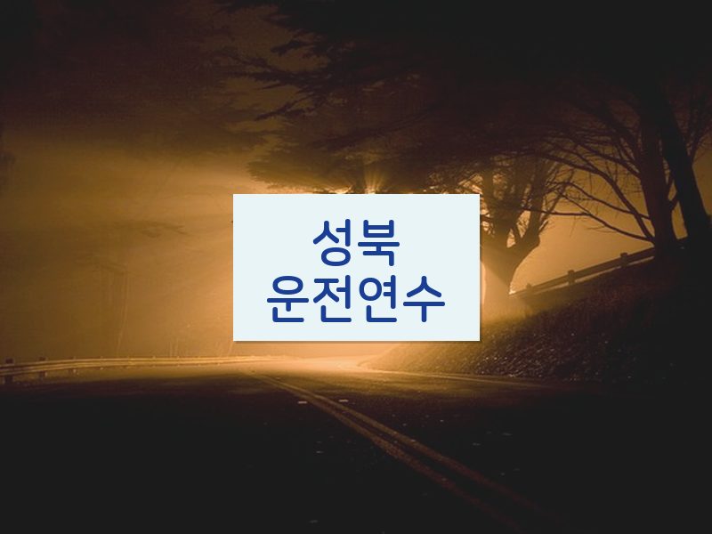 성북운전연수 후기
