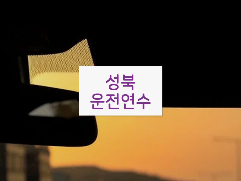 성북운전연수 후기
