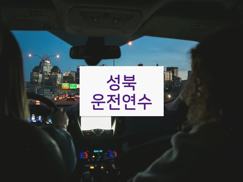 성북운전연수 후기