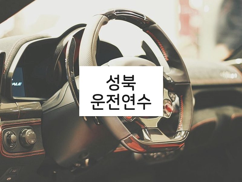 성북운전연수 후기