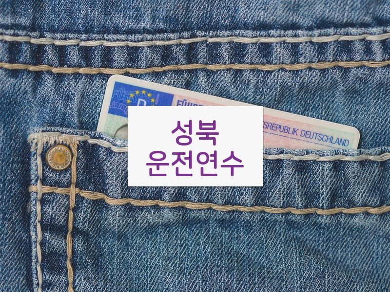 성북운전연수 후기