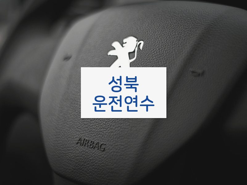 성북운전연수 후기