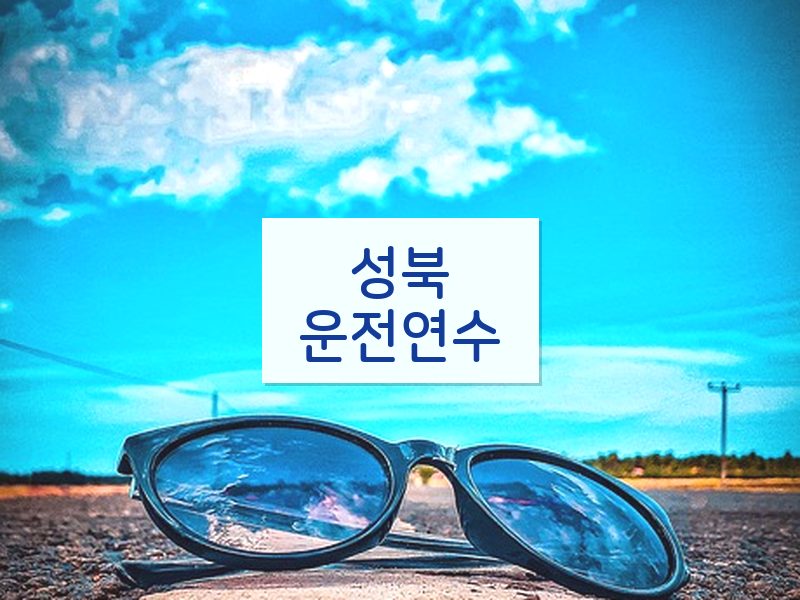 성북운전연수 후기