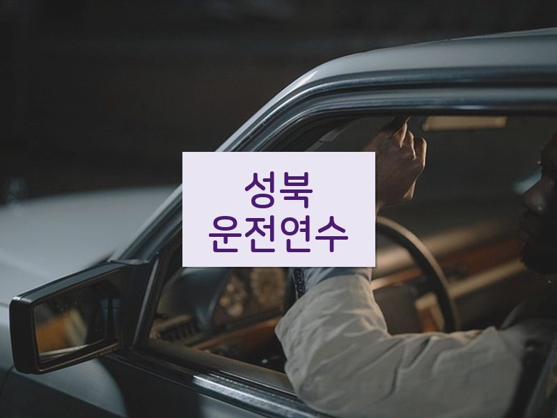 성북운전연수 후기