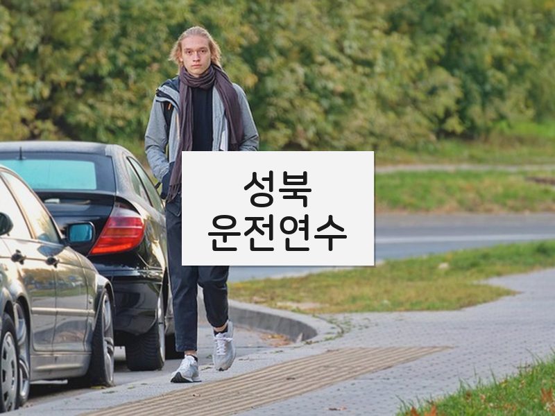 성북운전연수 후기