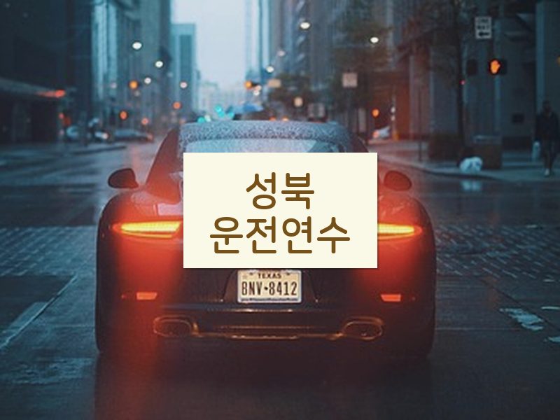 성북운전연수 후기