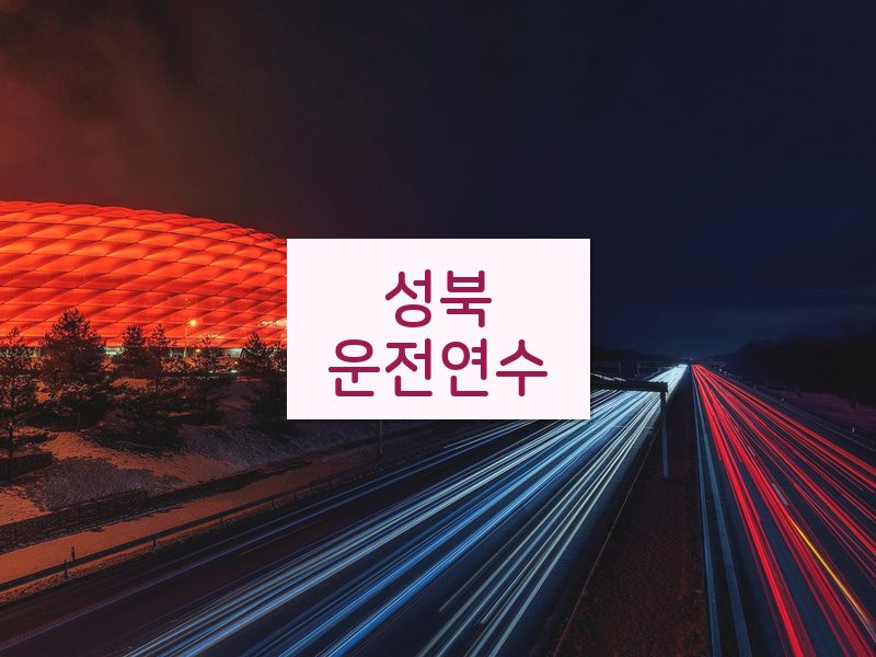 성북운전연수 후기