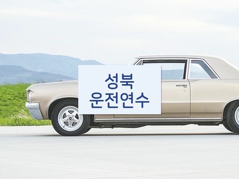성북운전연수 후기