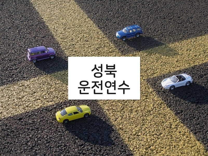 성북운전연수 후기