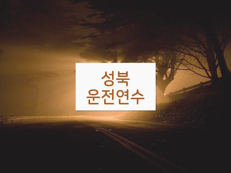 성북운전연수 후기
