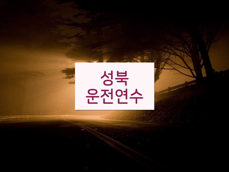 성북운전연수 후기