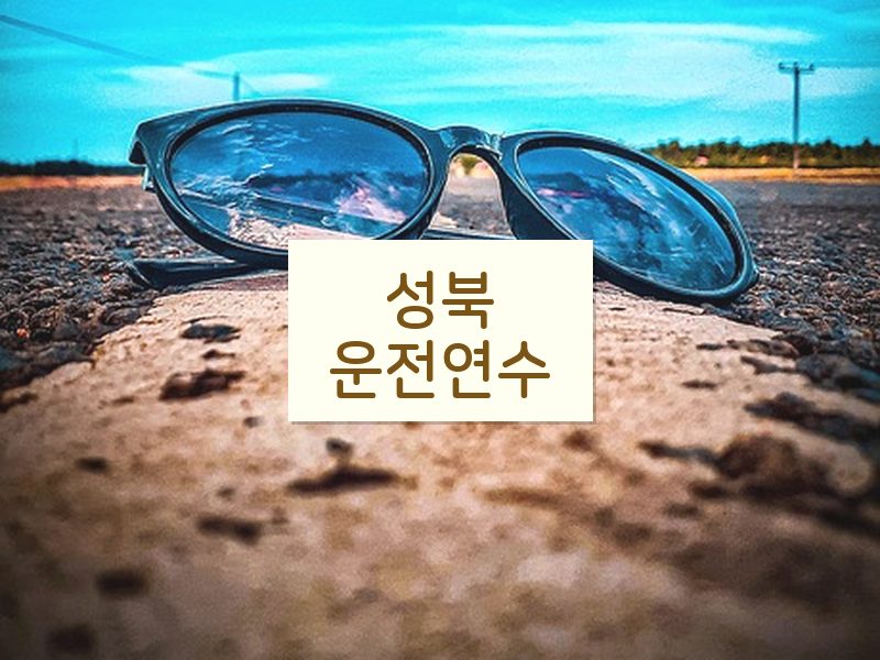 성북운전연수 후기