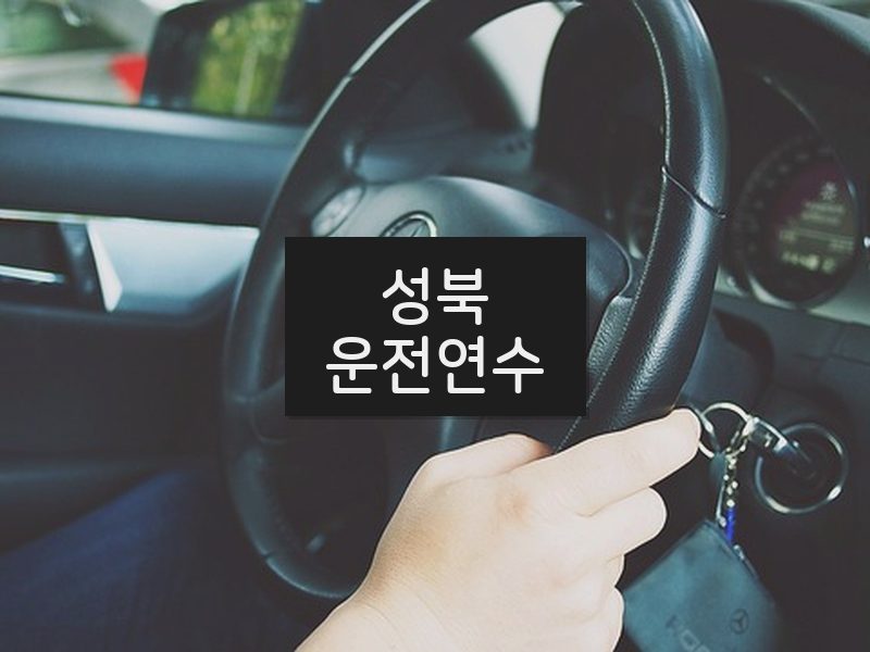 성북운전연수 후기