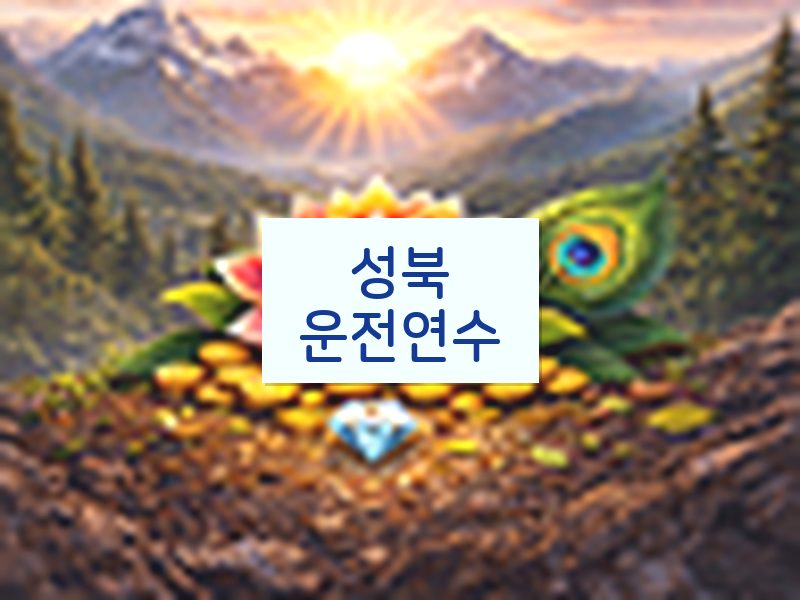 성북운전연수 후기