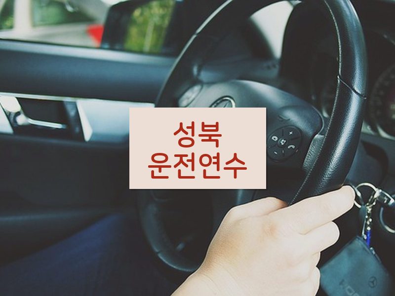성북운전연수 후기