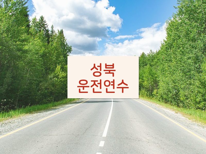 성북운전연수 후기
