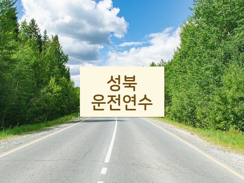 성북운전연수 후기