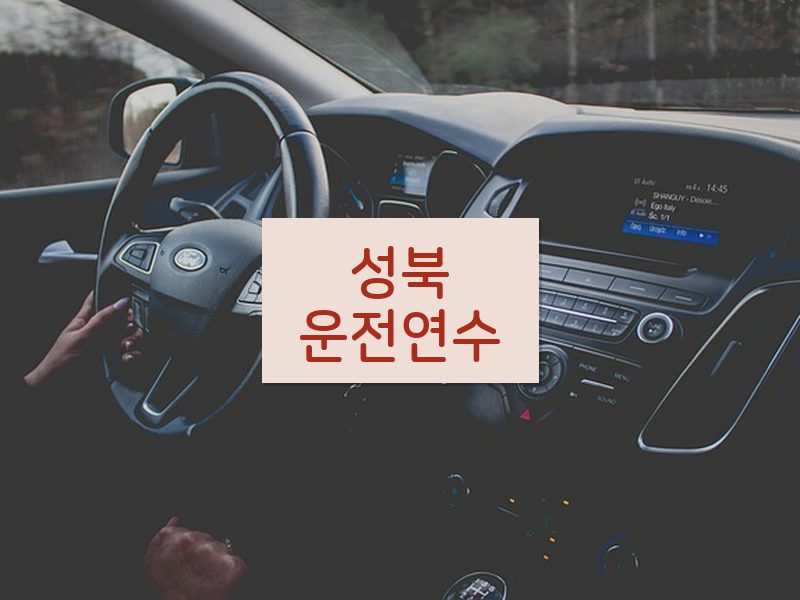 성북운전연수 후기