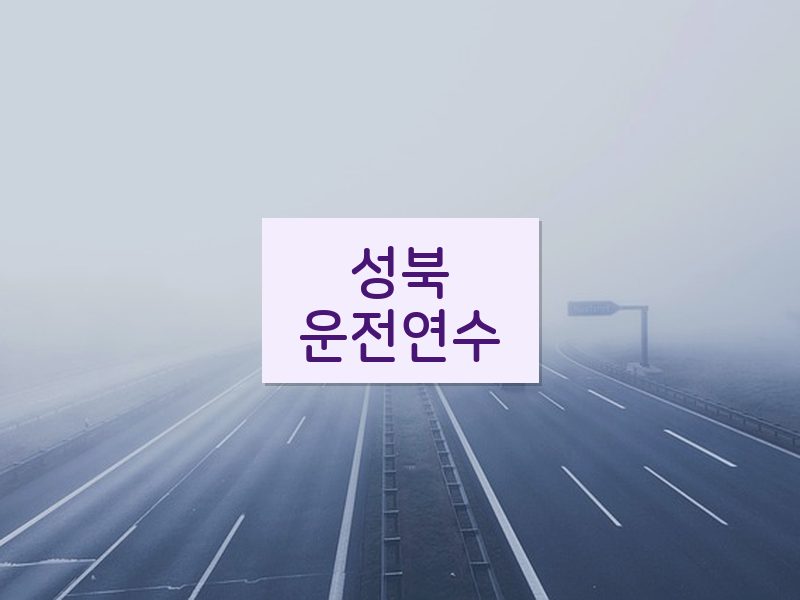 성북운전연수 후기
