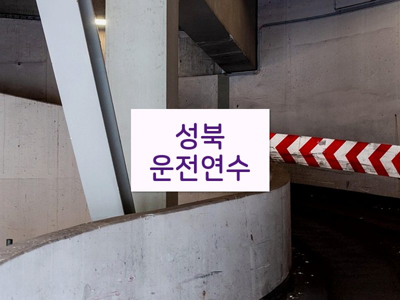 성북운전연수 후기