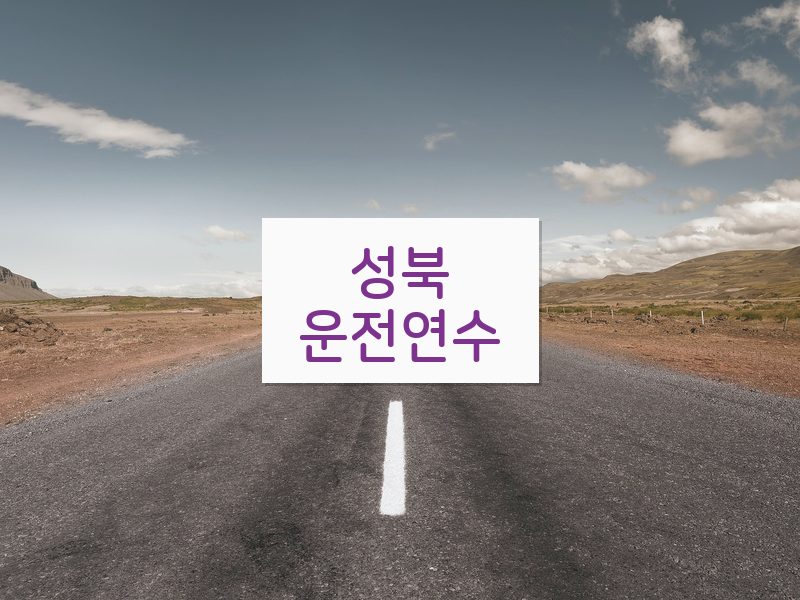 성북운전연수 후기