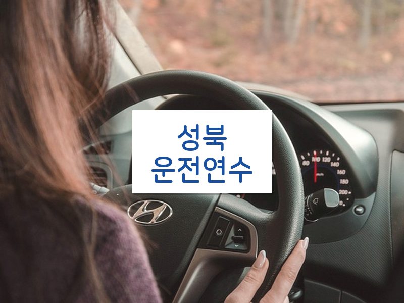 성북운전연수 후기