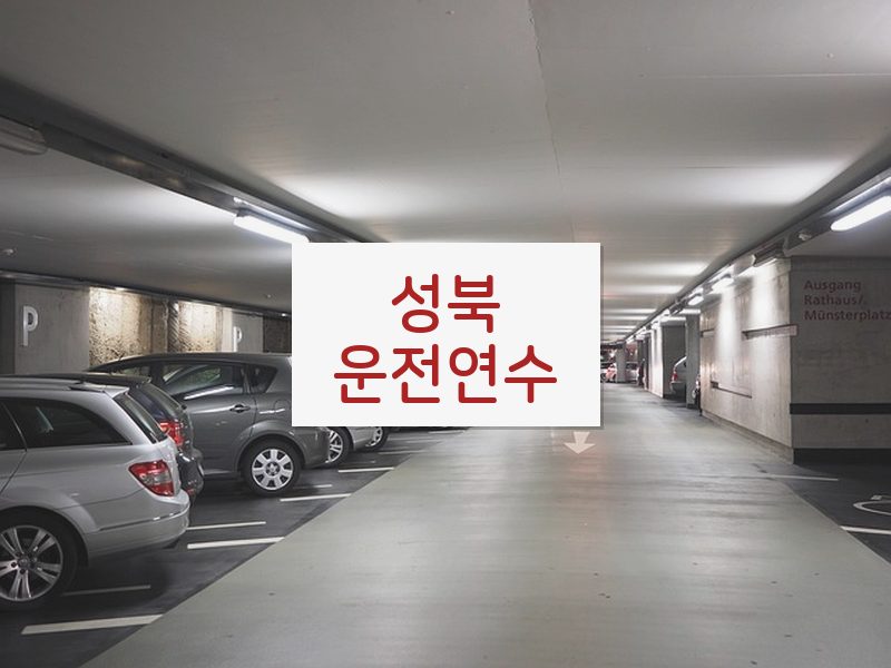 성북운전연수 후기