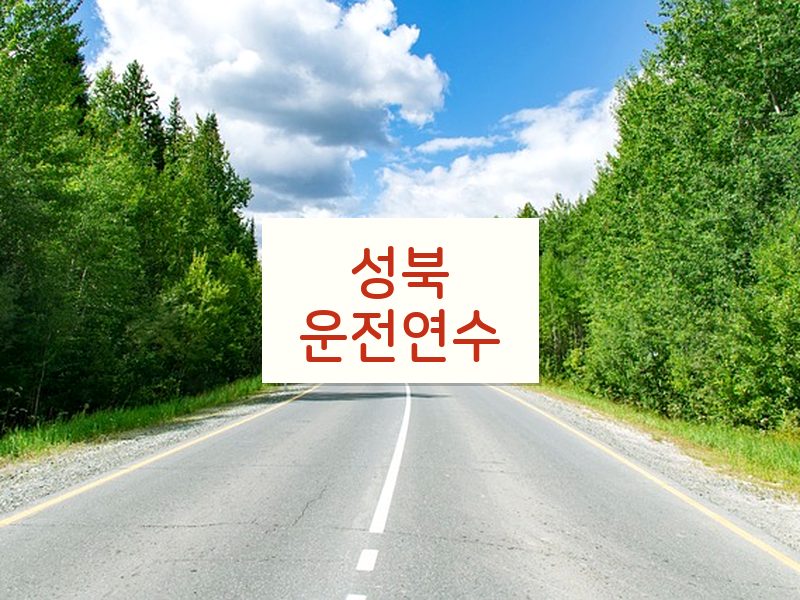 성북운전연수 후기