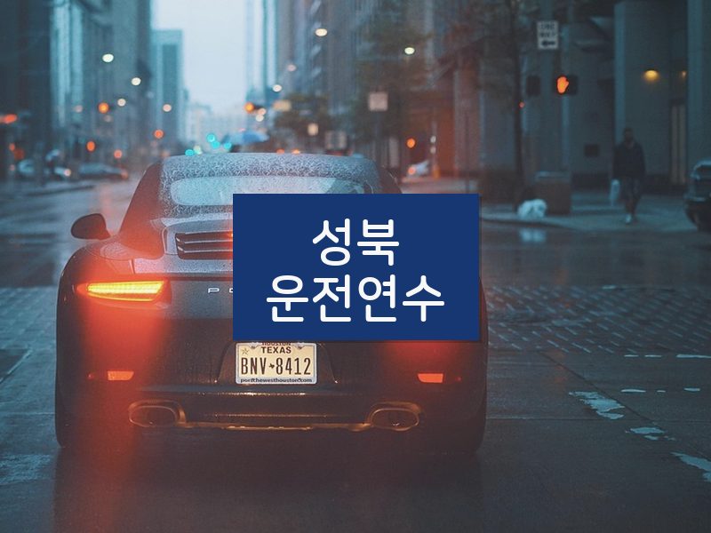 성북운전연수 후기