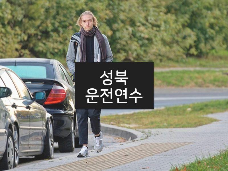성북운전연수 후기