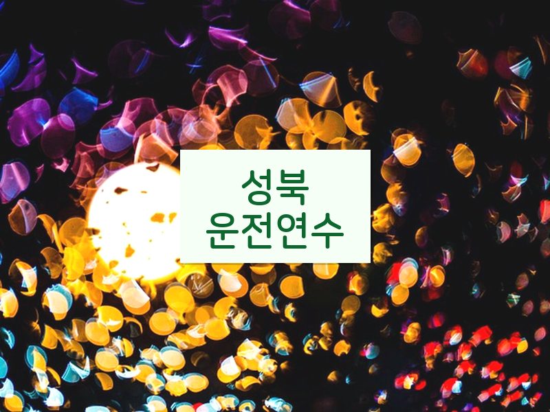 성북운전연수 후기