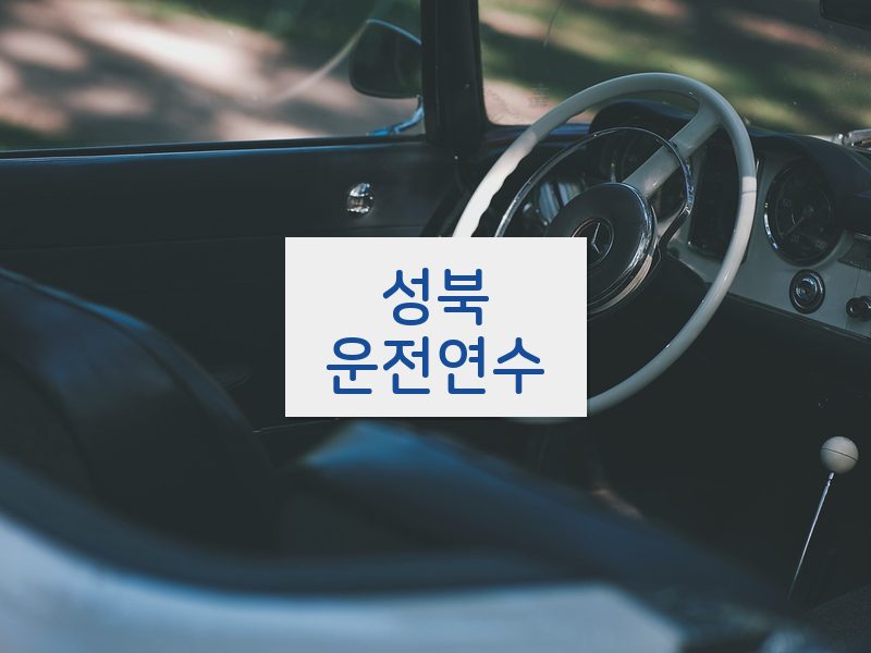 성북운전연수 후기