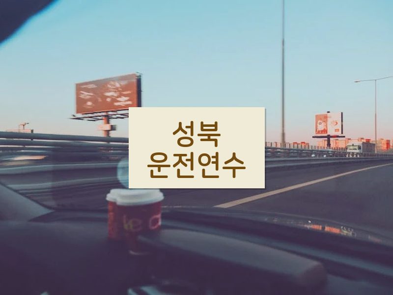 성북운전연수 후기