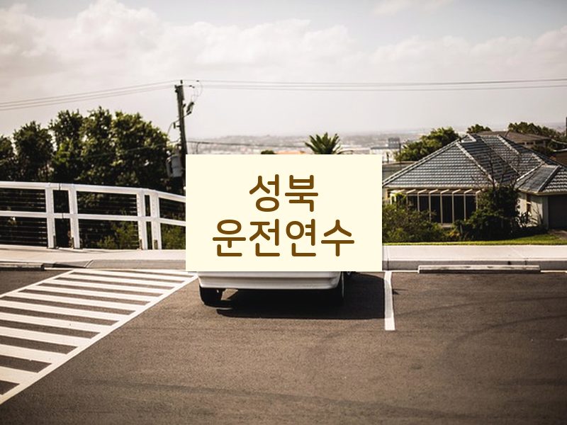 성북운전연수 후기