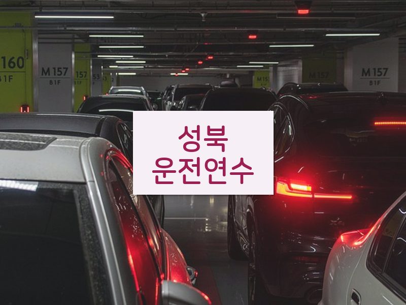 성북운전연수 후기