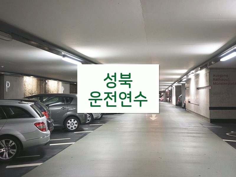 성북운전연수 후기