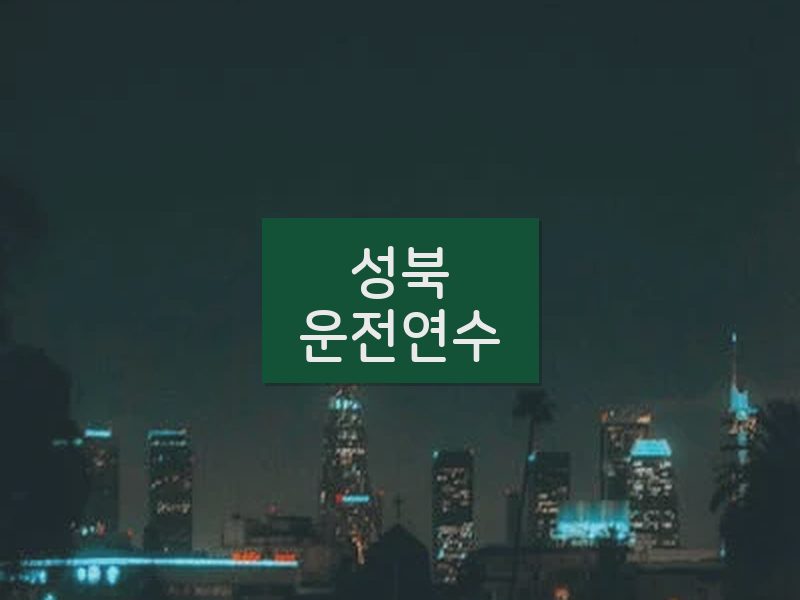 성북운전연수 후기