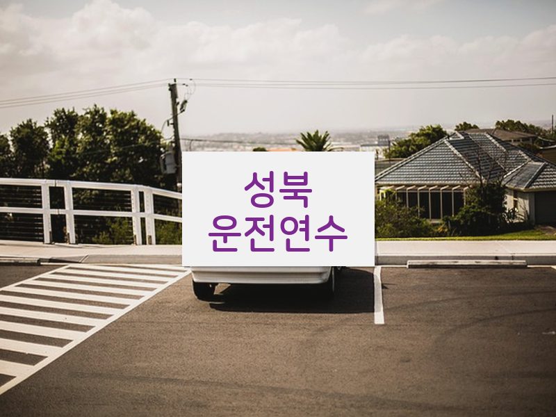 성북운전연수 후기