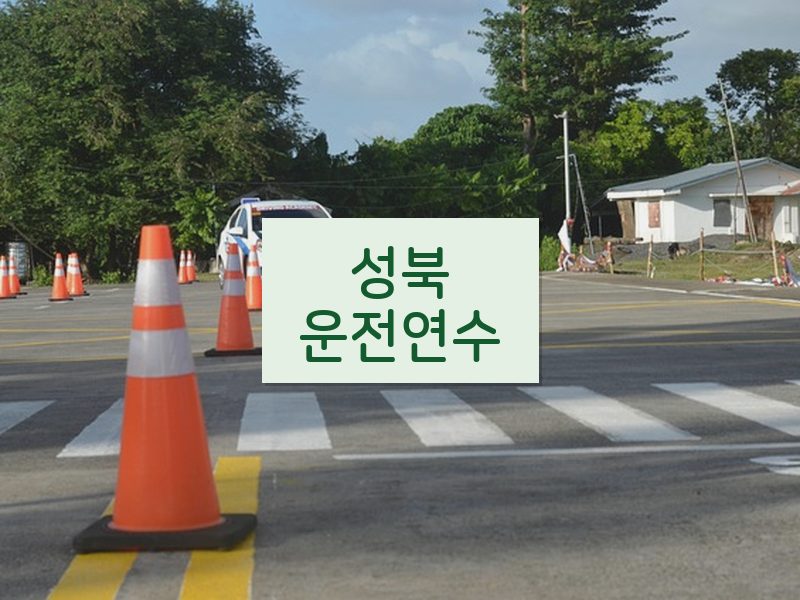 성북운전연수 후기