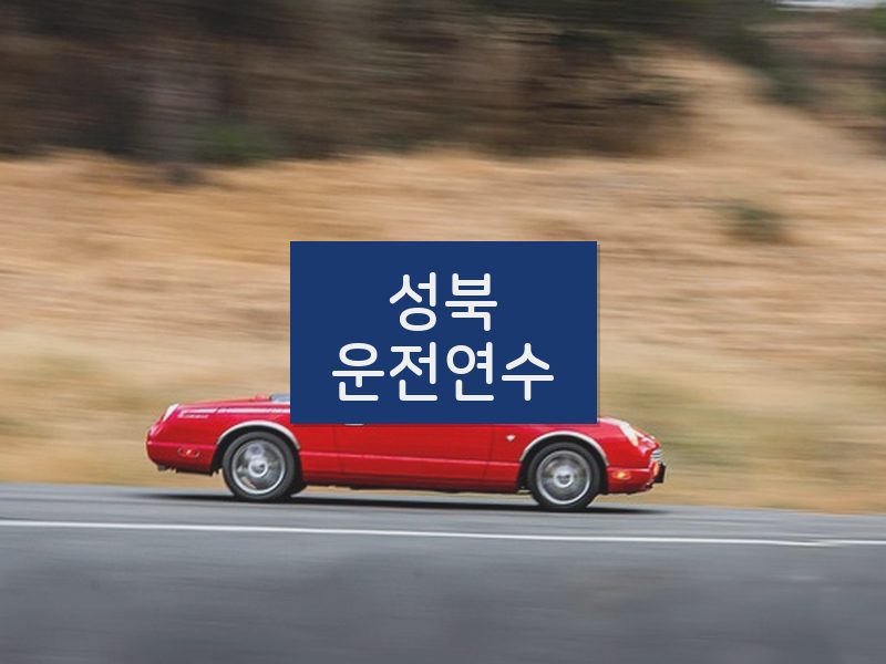 성북운전연수 후기